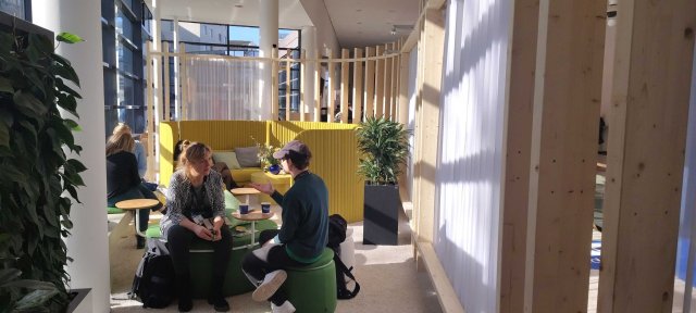 People talking in a sunny room with green and yellow furniture